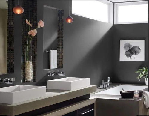 衛(wèi)浴產(chǎn)品要有質(zhì)量有特色才能吸引消費(fèi)者目光